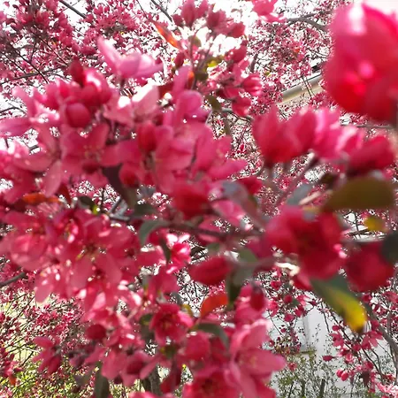 Proche Petite France Strasbourg