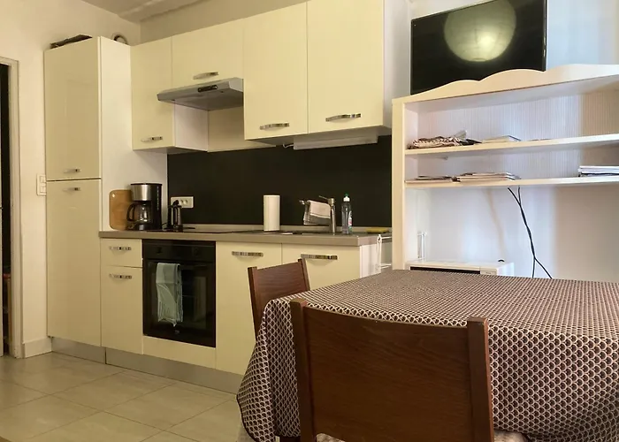 Apartment Proche Petite France Straßburg